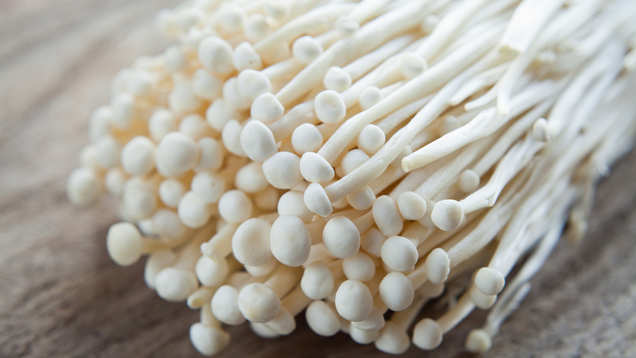 Illustration for article titled More Mushroom Than You Can Handle: You Simply Don’t Have The Endurance To Make It Through This List Of 8 Mushrooms